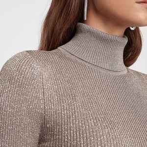 Express metallic turtleneck sweater small NWOT